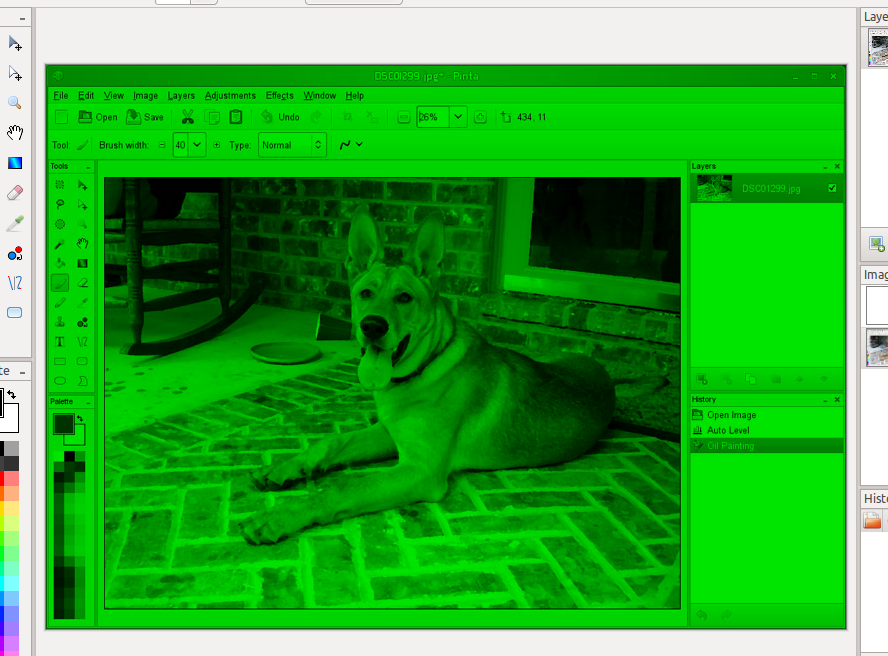 Night Vision Example